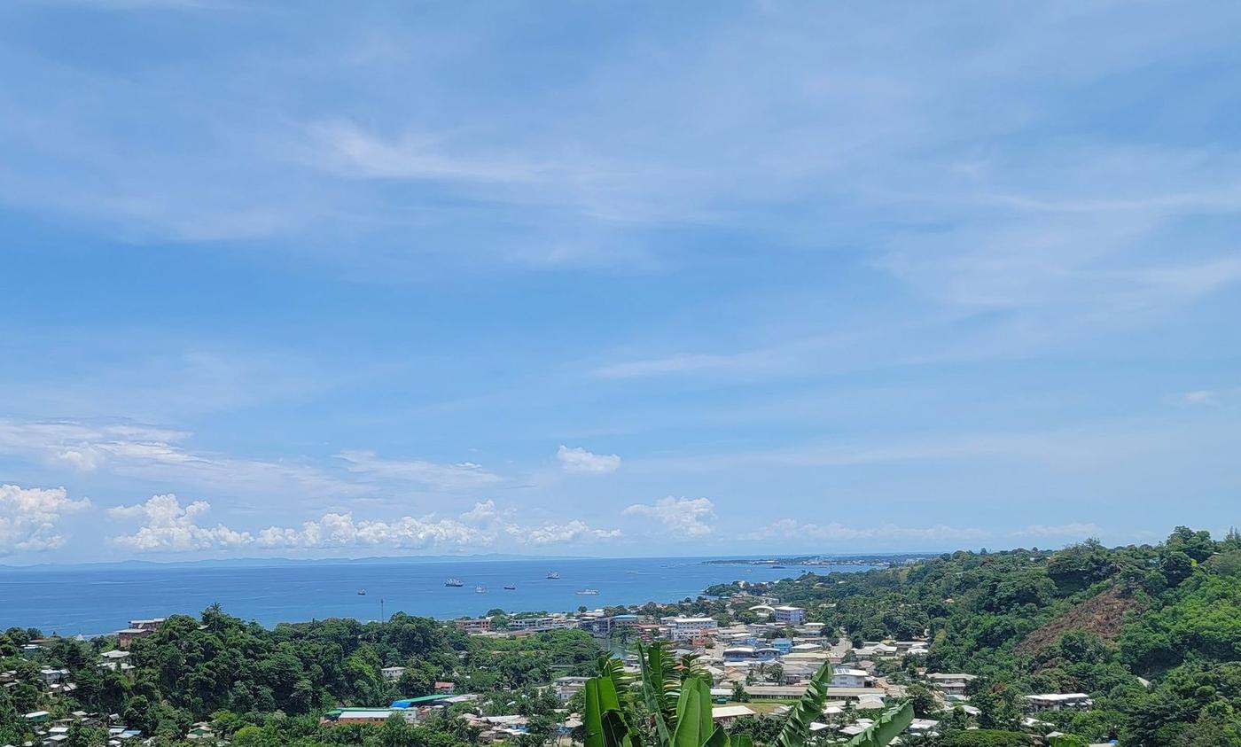 Hillside town above a bay with ships at anchor